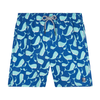 Tom & Teddy Whale Mens Swim Shorts WHANA - Navy/ Aqua