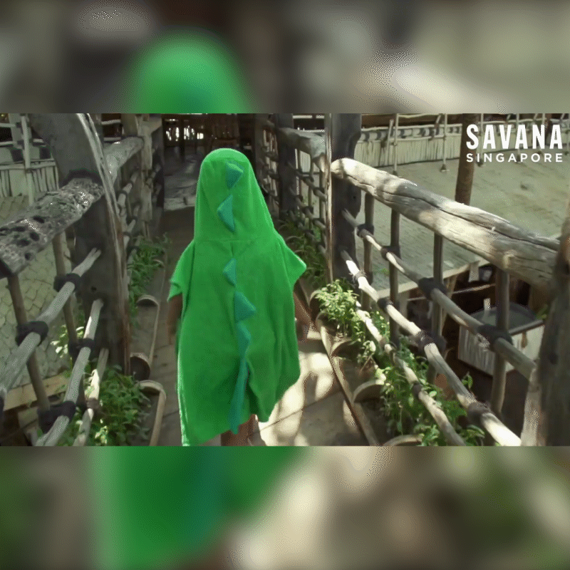 Savana Poncho Green 1801112611424 - Dino