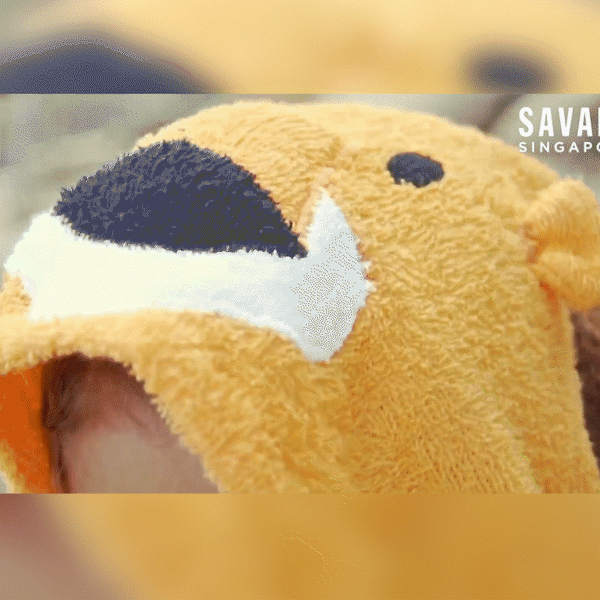 Savana Poncho Lion 1801112011415 - Orange